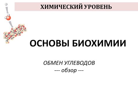 ОБМЕН УГЛЕВОДОВ - часть 1 - Просто о сложном - Химия